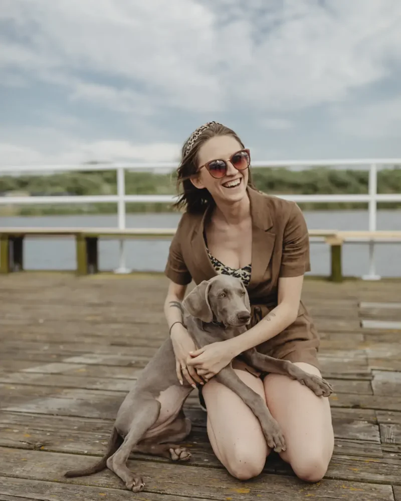 beautiful-weimaraner-puppy-training-summerville-sc