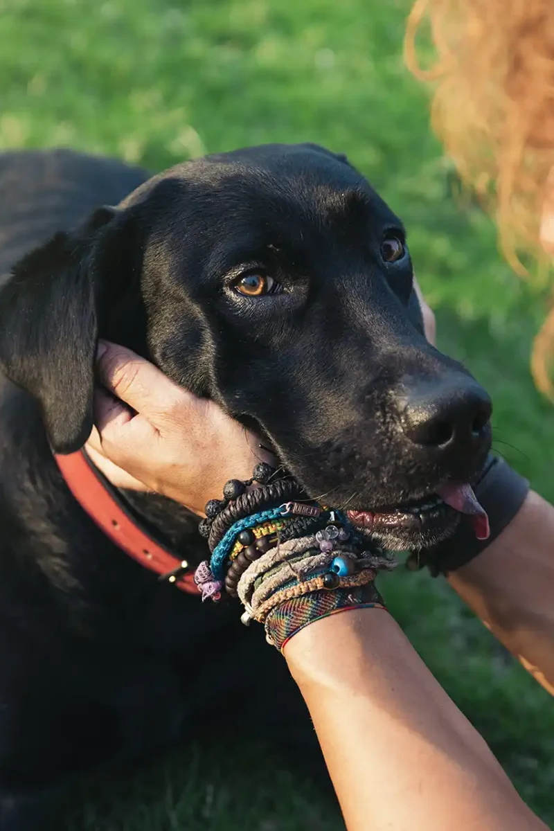 client with their dog