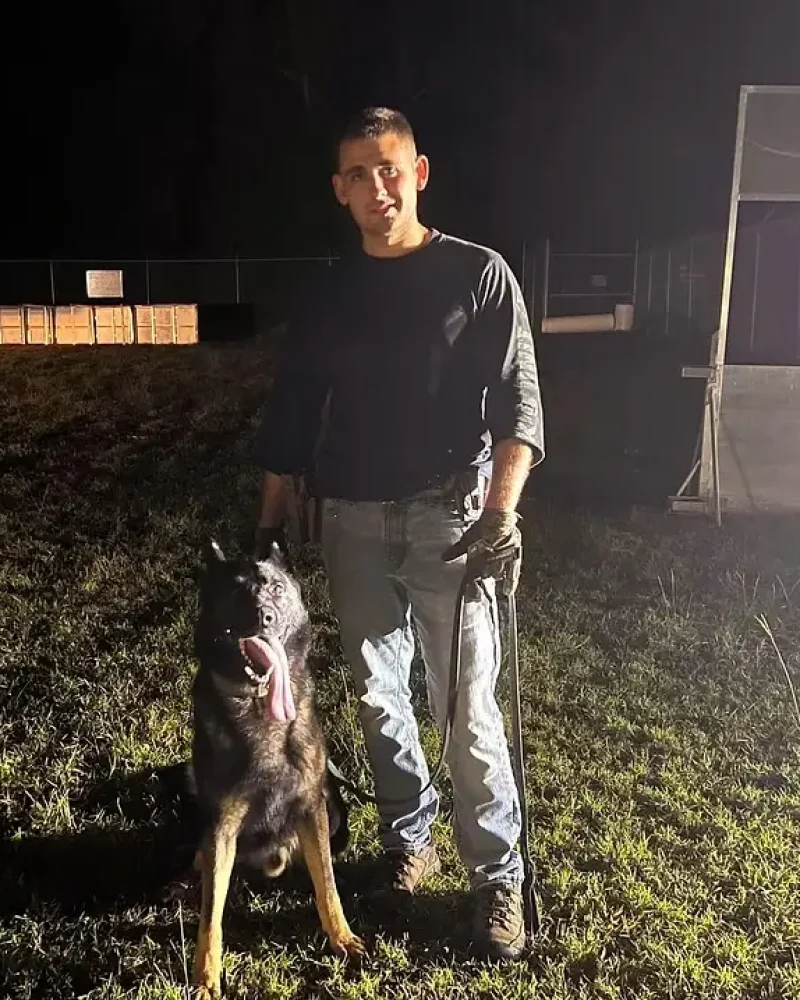 dog training