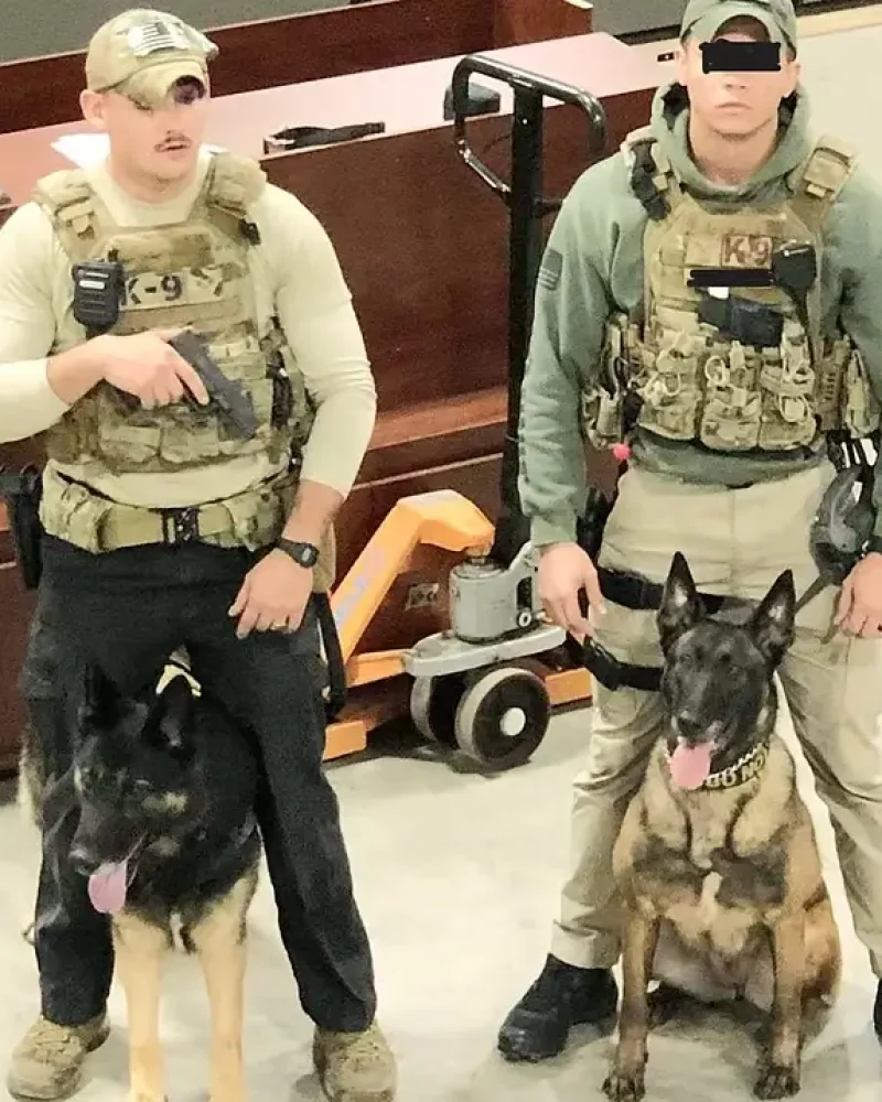 military dog training